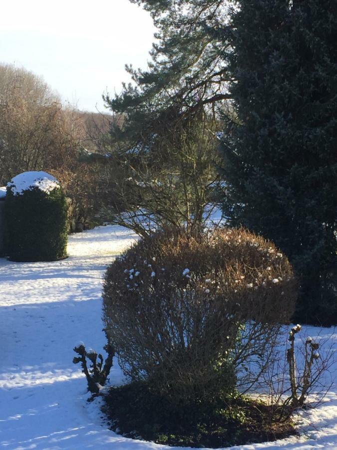 La Ferme Des Ruelles Bed & Breakfast Moigny ภายนอก รูปภาพ