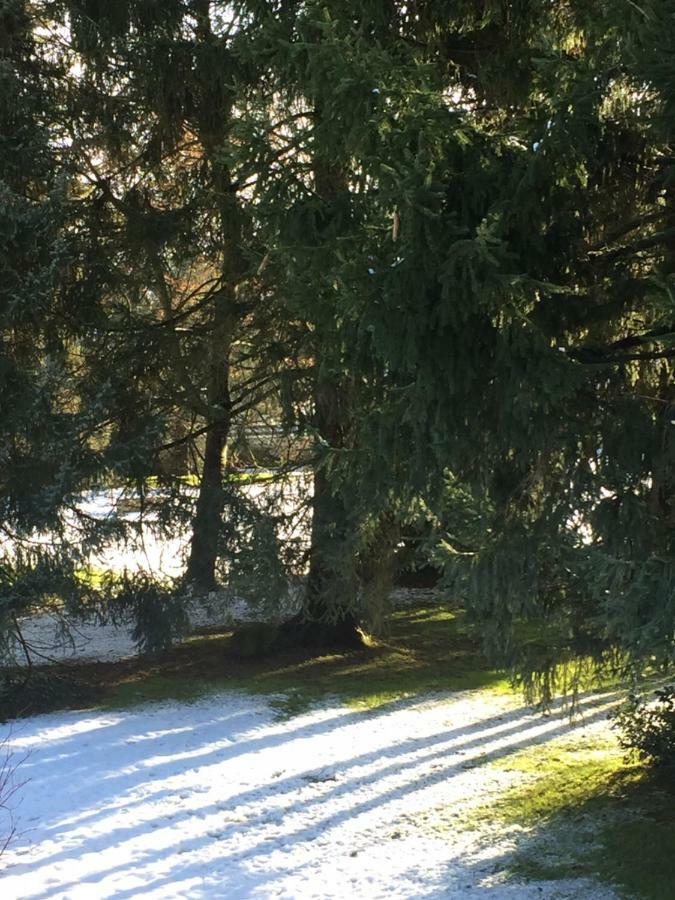 La Ferme Des Ruelles Bed & Breakfast Moigny ภายนอก รูปภาพ